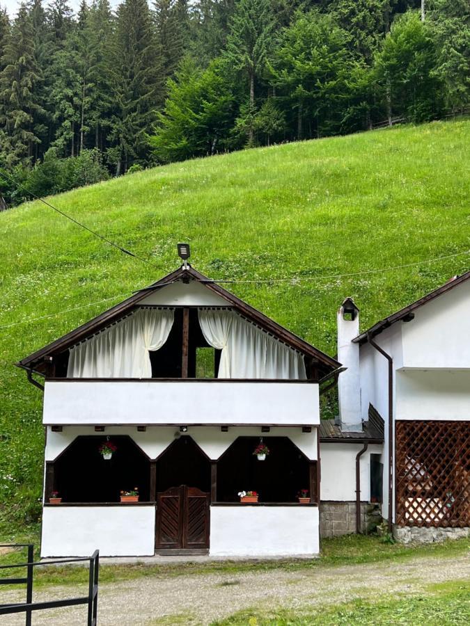 Отель Casuta De Langa Padure Моечиу-де-Сус Экстерьер фото