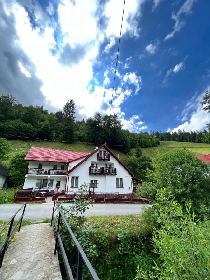 Отель Casuta De Langa Padure Моечиу-де-Сус Экстерьер фото