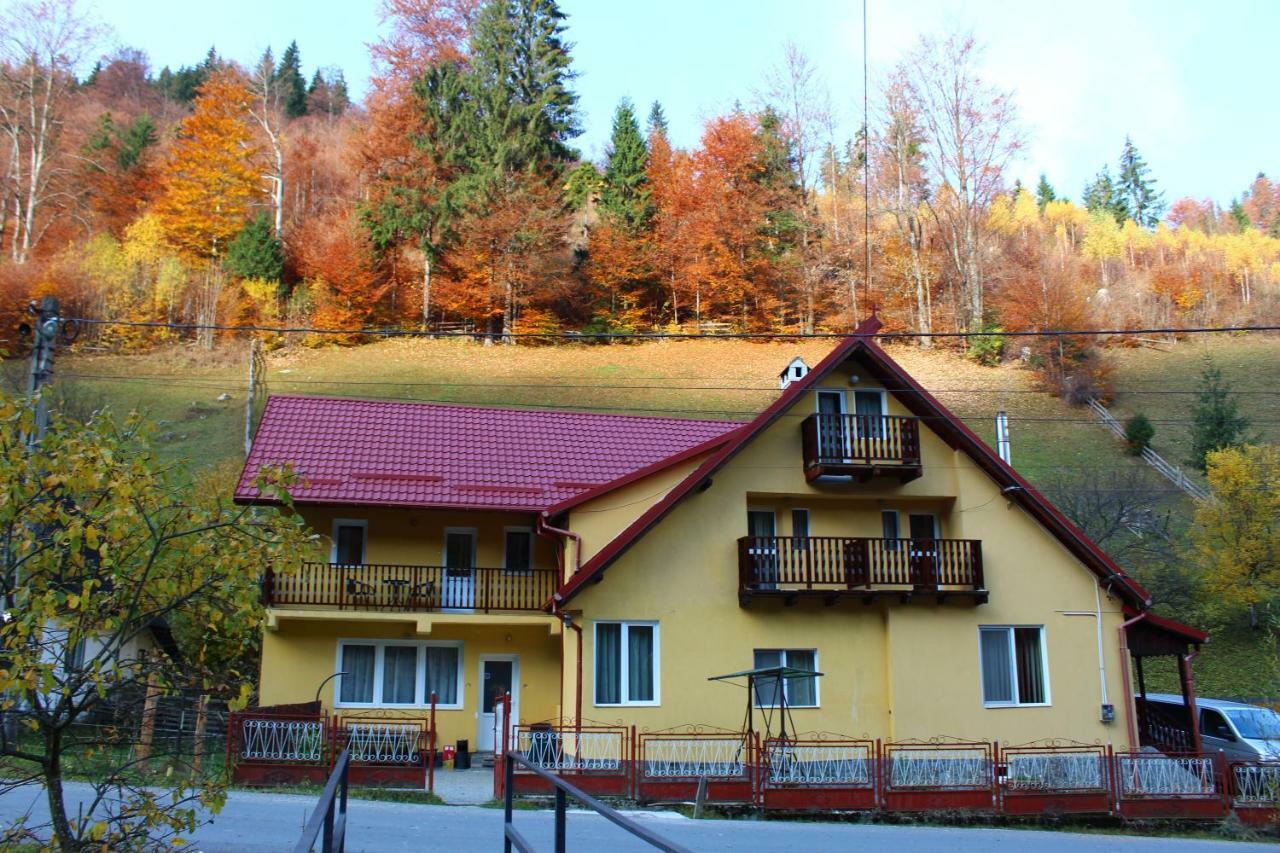 Отель Casuta De Langa Padure Моечиу-де-Сус Экстерьер фото