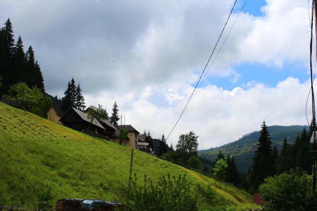 Отель Casuta De Langa Padure Моечиу-де-Сус Экстерьер фото