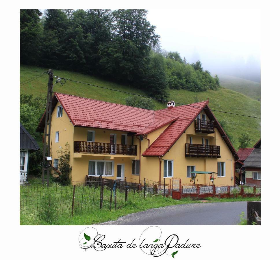 Отель Casuta De Langa Padure Моечиу-де-Сус Экстерьер фото