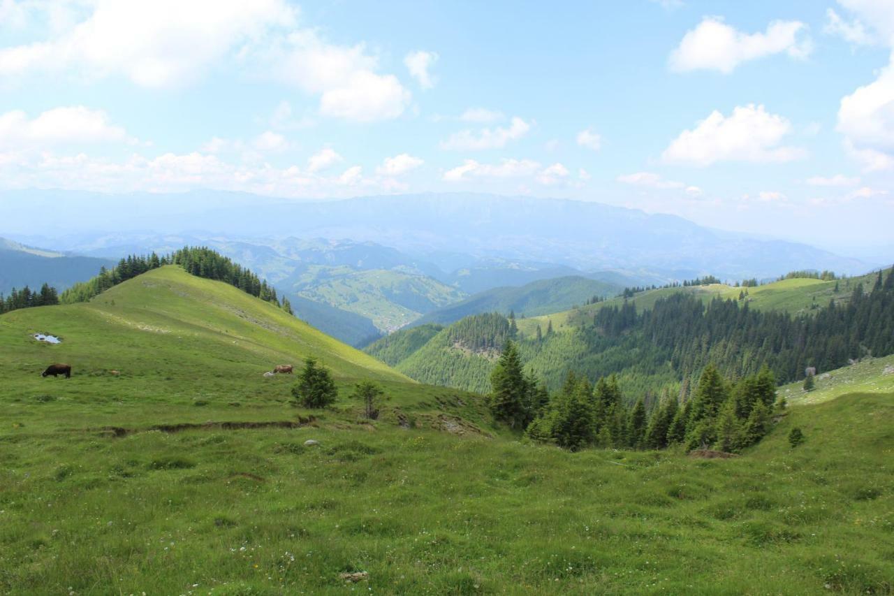 Отель Casuta De Langa Padure Моечиу-де-Сус Экстерьер фото